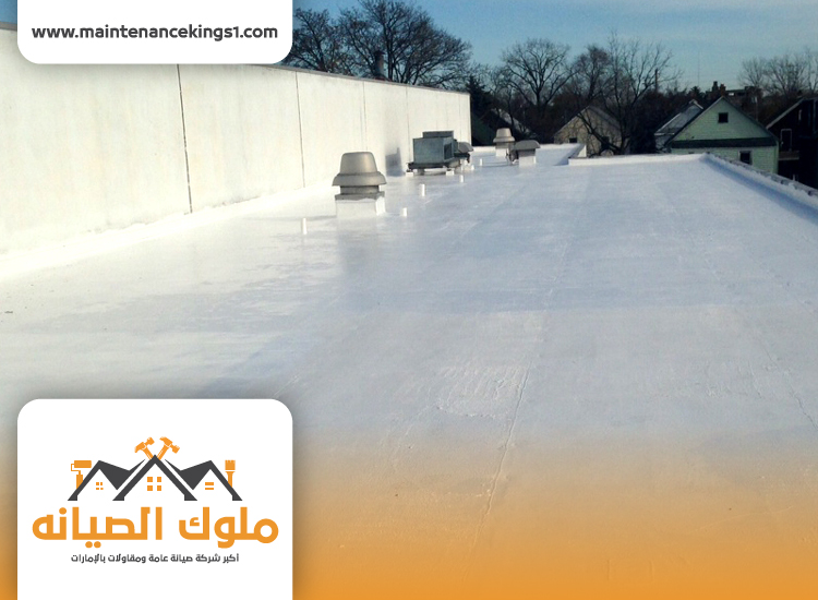 شركة عزل اسطح في الشارقة
