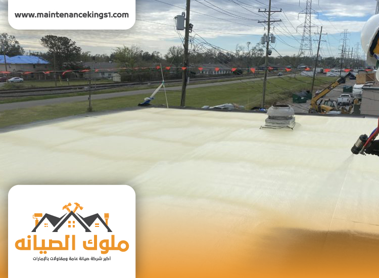 شركة عزل اسطح في الشارقة