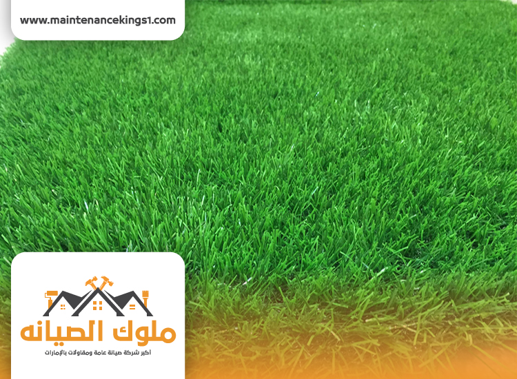 شركة لاند سكيب في الشارقة