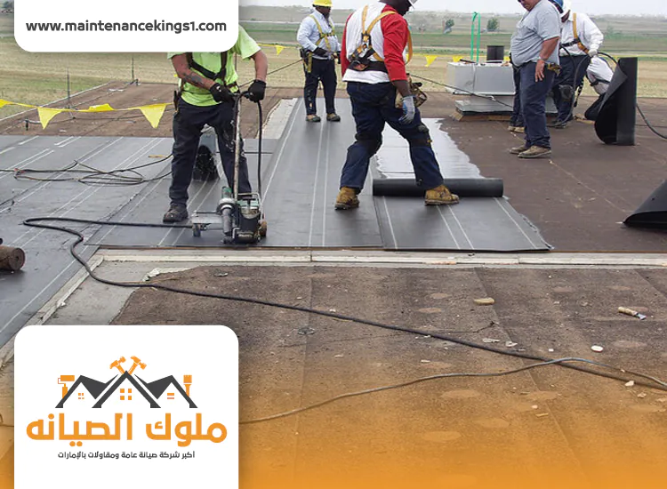 شركة عزل اسطح في دبي