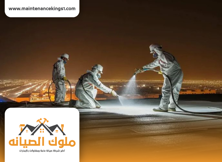 شركة عزل اسطح في عجمان