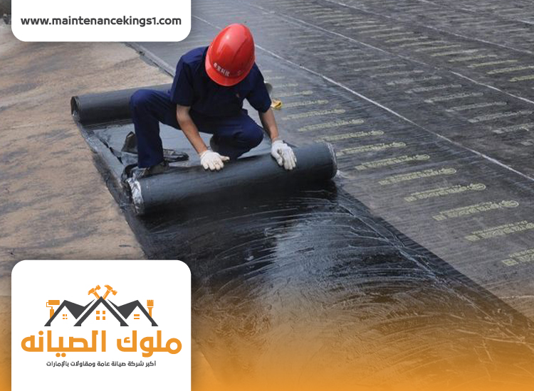 شركة عزل اسطح في دبي