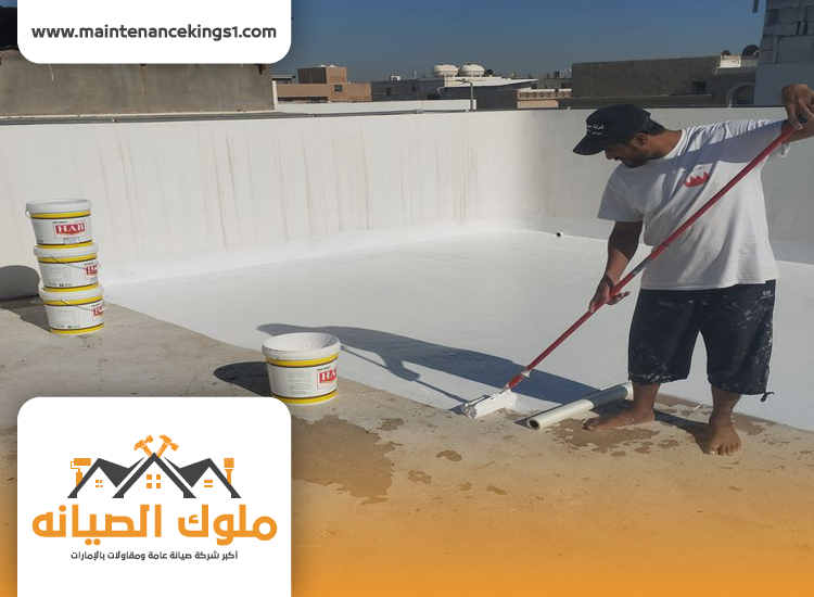 شركة عزل اسطح في دبي