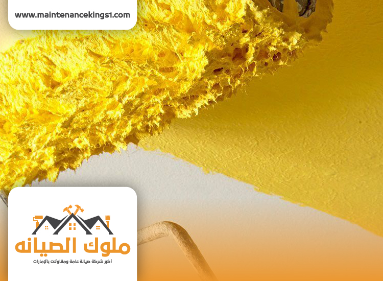 شركة صبغ في الشارقة