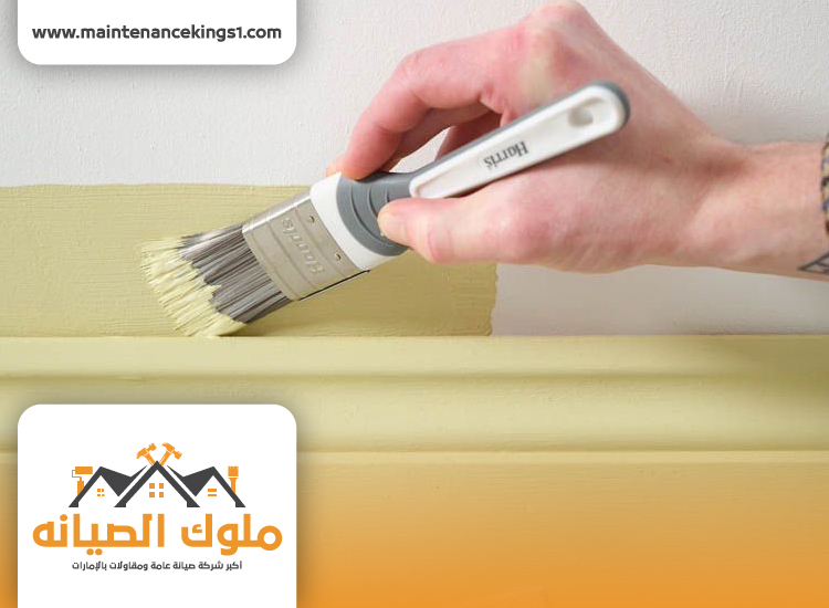 شركة صبغ في الشارقة