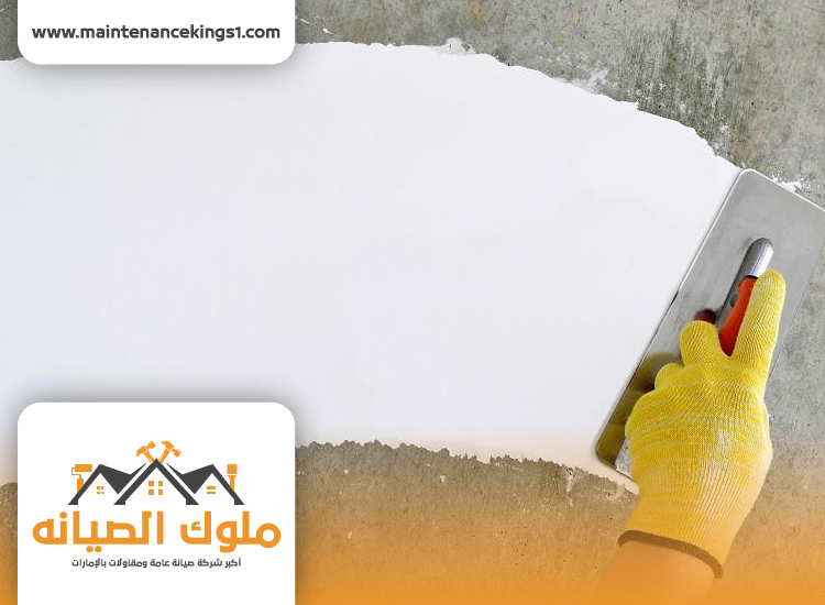 شركة صبغ في ام القيوين